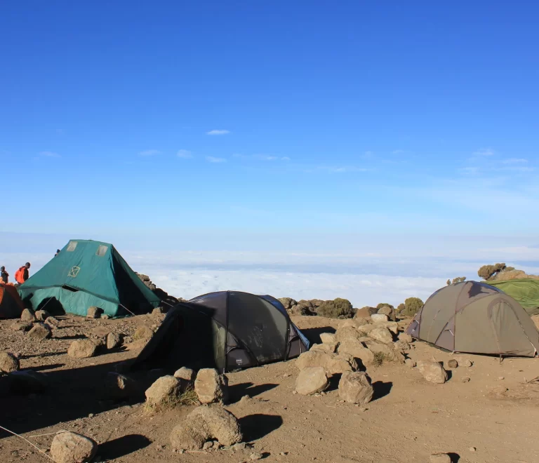 What Do People Do At Kilimanjaro Campsites?